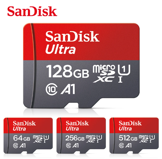 Carte mémoire SanDIsk micro