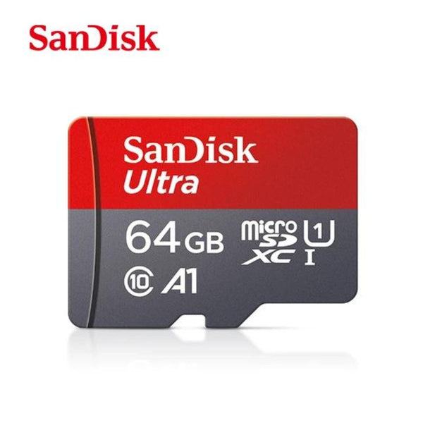 Carte mémoire SanDIsk micro