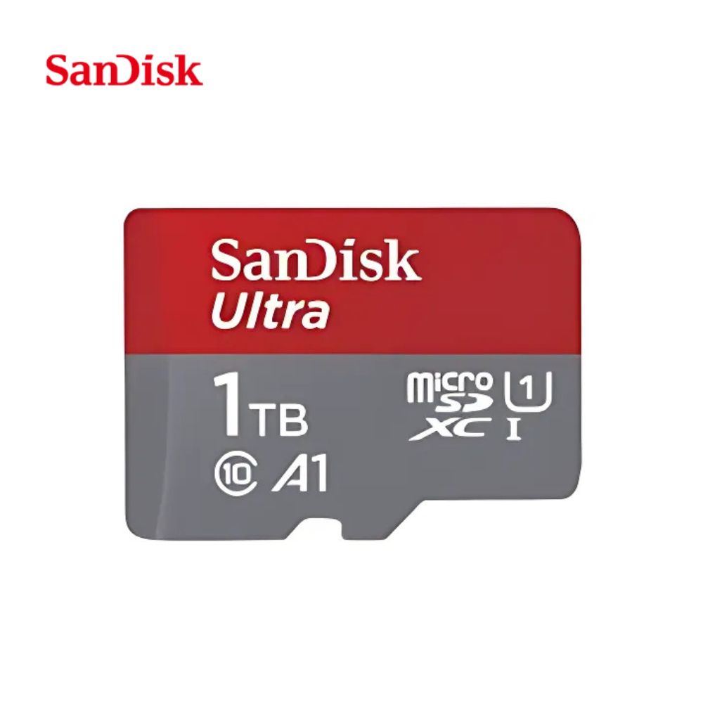 Carte mémoire SanDIsk micro