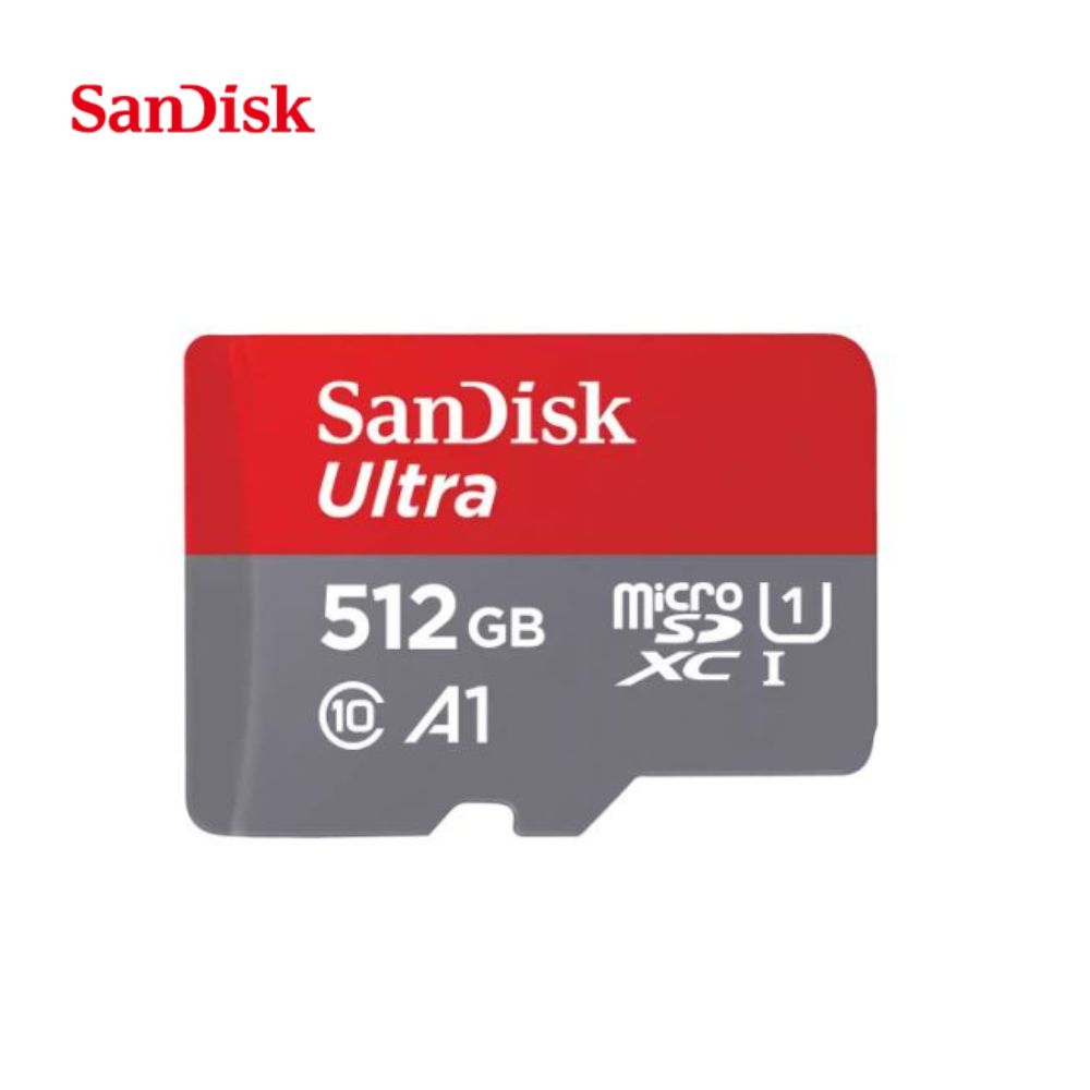 Carte mémoire SanDIsk micro