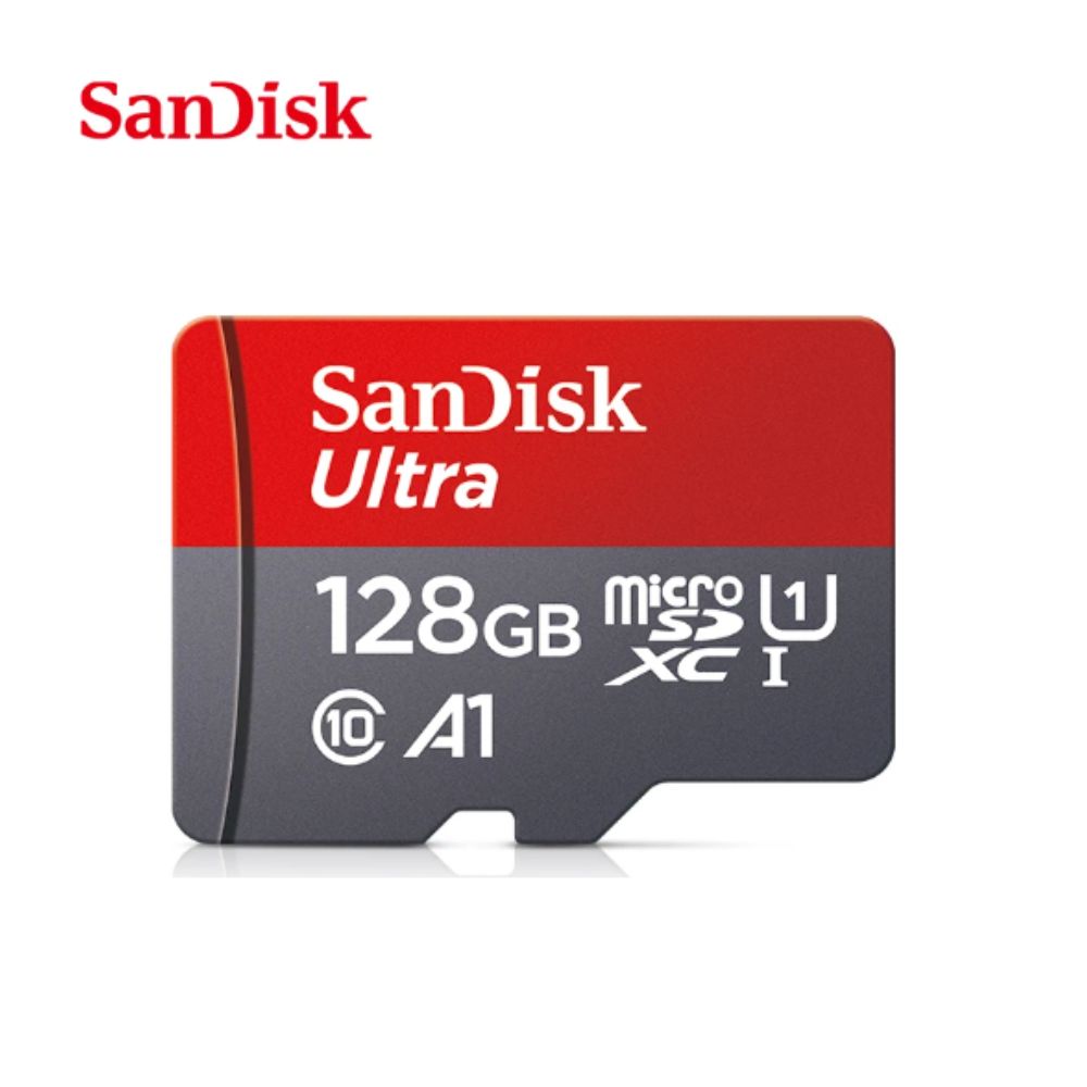 Carte mémoire SanDIsk micro