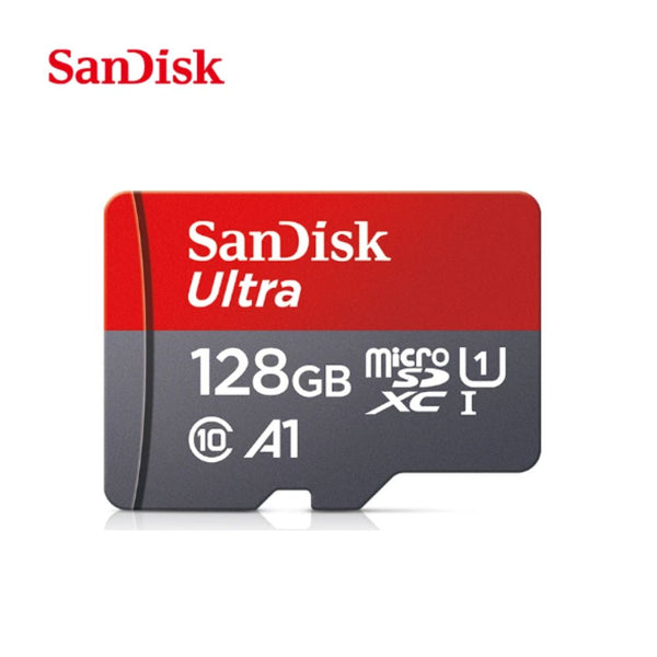 Carte mémoire SanDIsk micro