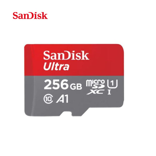 Carte mémoire SanDIsk micro